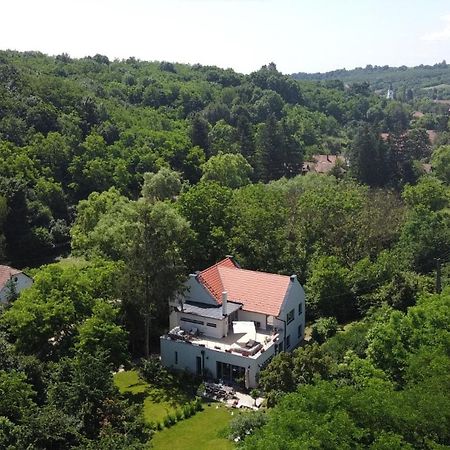 Villa Viridis Buekkalja Borsodgeszt Luaran gambar