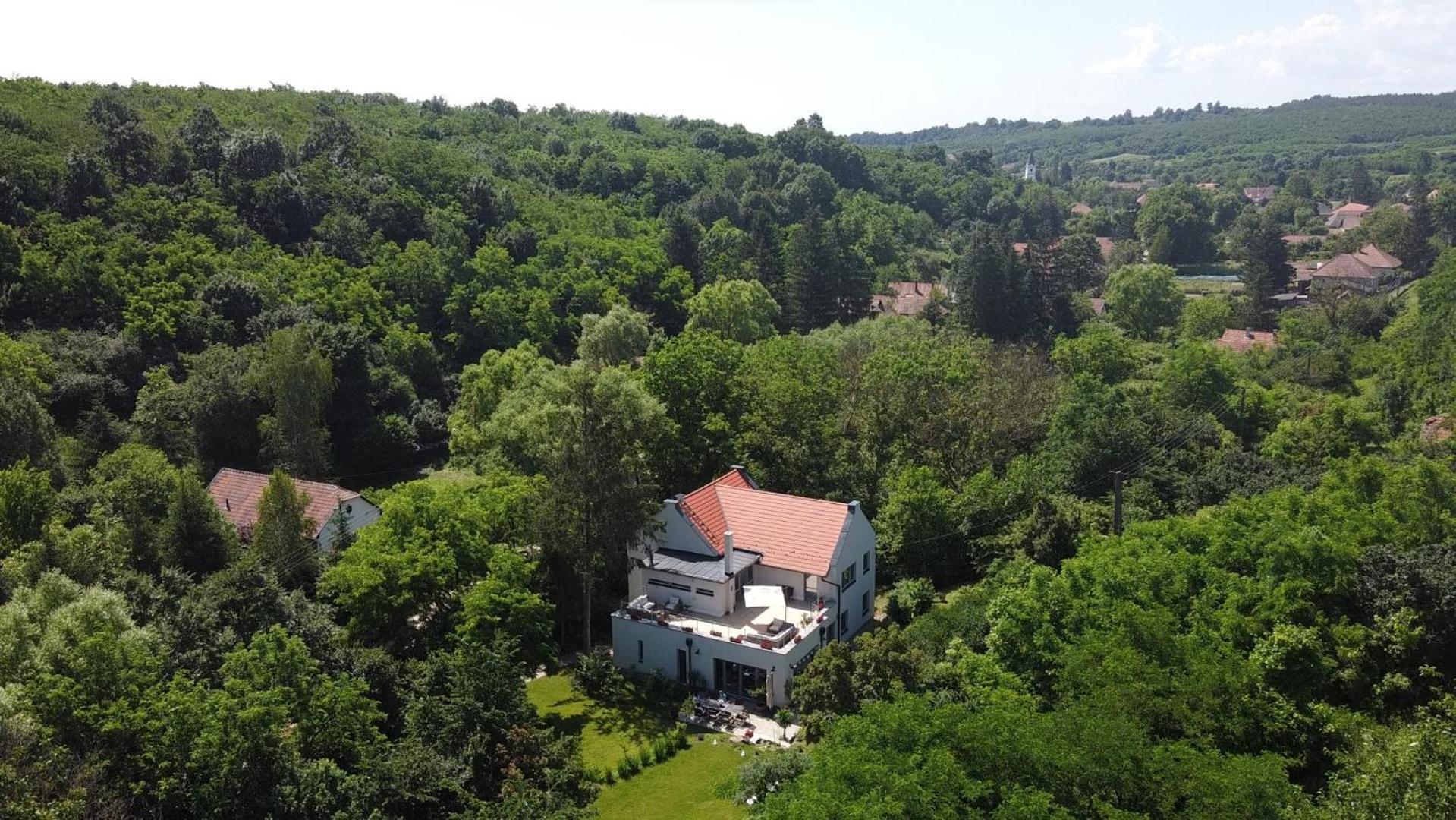 Villa Viridis Buekkalja Borsodgeszt Luaran gambar