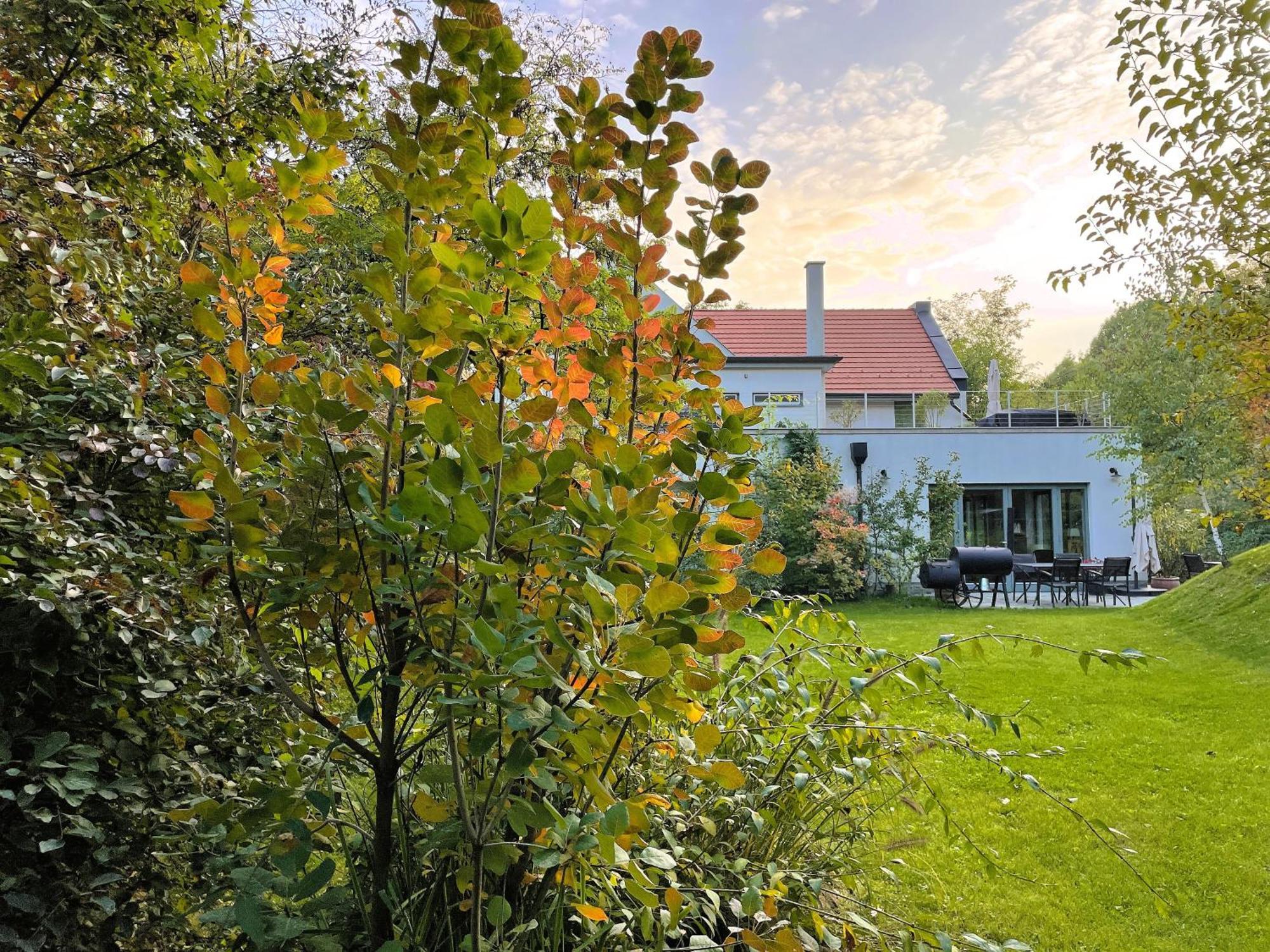 Villa Viridis Buekkalja Borsodgeszt Luaran gambar